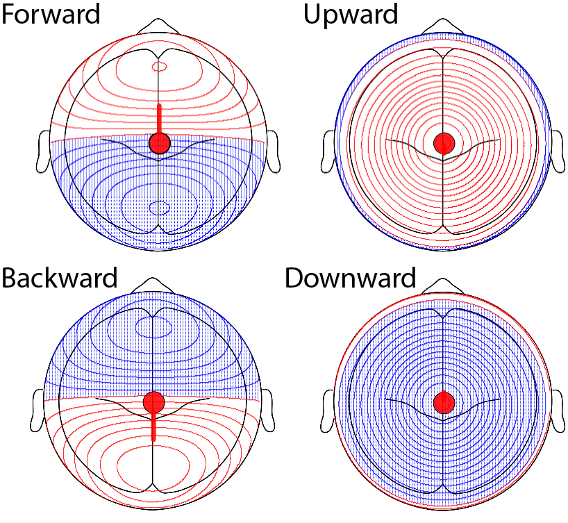 Models of the EEG scalp potentials that would be recorded if a single electrical dipole (shown as a red circle, with a line extending in the direction of the positive pole) were active inside the head. Red lines show positive potentials and blue lines show negative potentials. Each of the four panels shows the distribution of potentials over the scalp for a different orientation of the dipole, with the location of the dipole held constant. Images generated using BESA Simulator software.