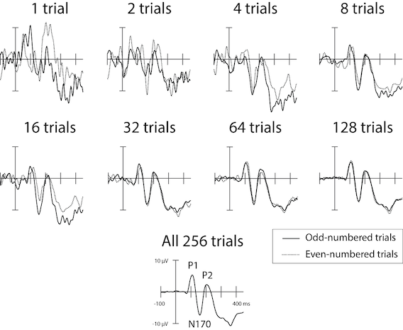 Effects of averaging increasing numbers of trials in an ERP experiment, for a single human participant. Stimuli were images of human faces. There were a total of 256 trials in the experiment, and the average of these is shown at the bottom, with prominent component peaks (see next section) labelled.